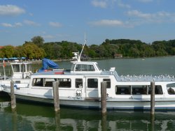 Vorleztes Schiff f&uuml;r diesmal